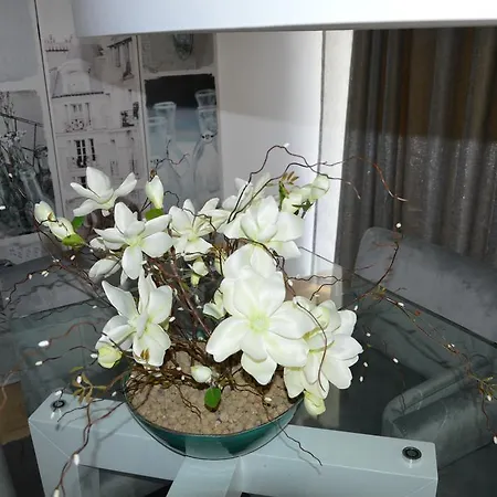 Peaceful フンシャル