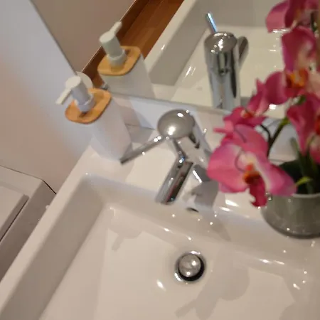 Peaceful Funchal (Madeira)