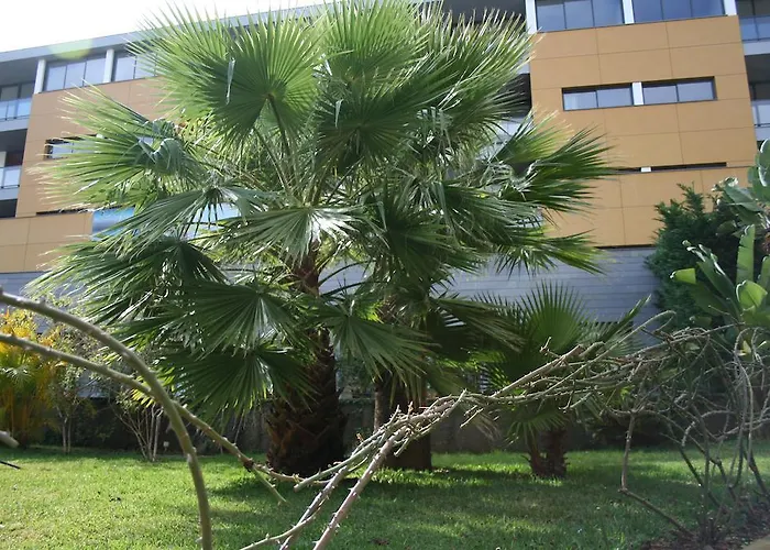 Lejlighed Peaceful Funchal (Madeira)